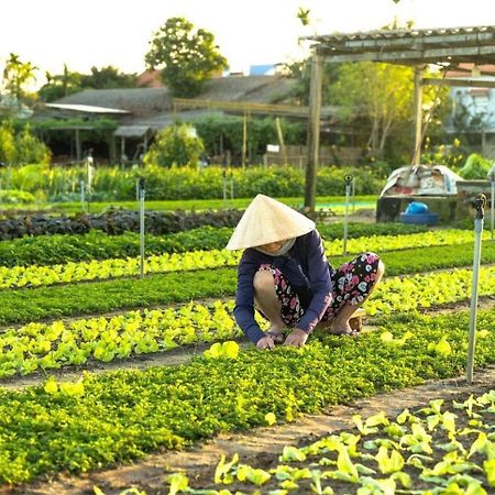 Hoi An Cabbage Garden Apartment Bagian luar foto