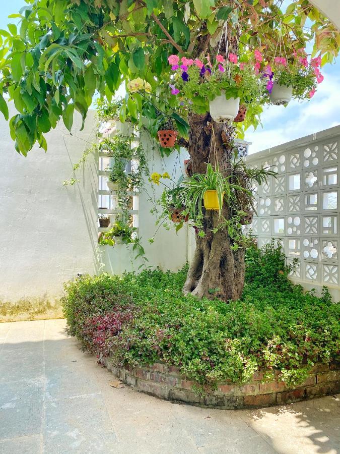 Hoi An Cabbage Garden Apartment Bagian luar foto